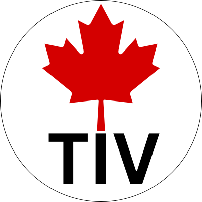 TIV.NET INC